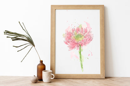 Chrysanthemum Print