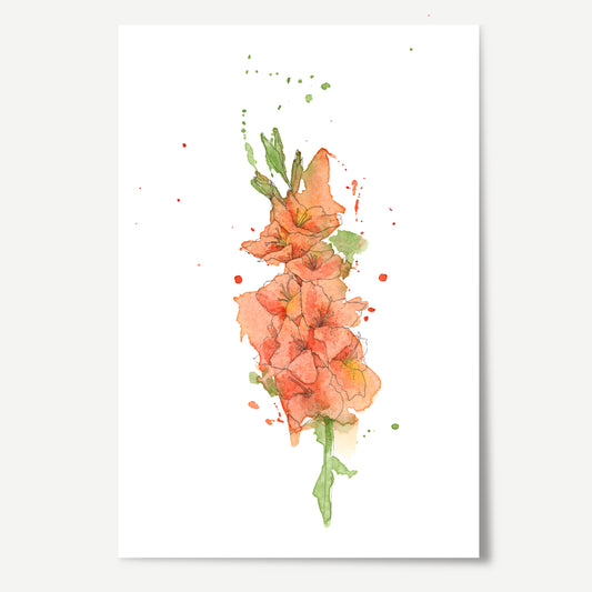 Gladiolus Print