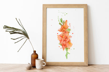 Gladiolus Print