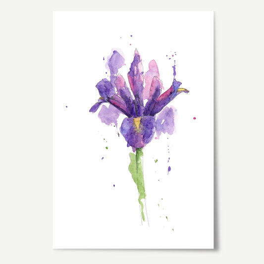 Iris Print