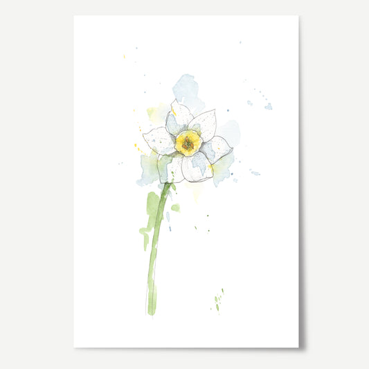 Jonquil Print