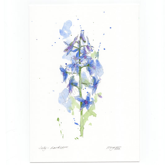 Larkspur Original