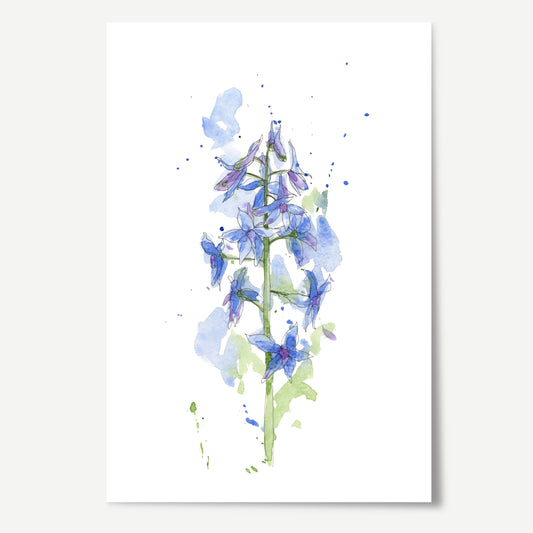 Larkspur Print