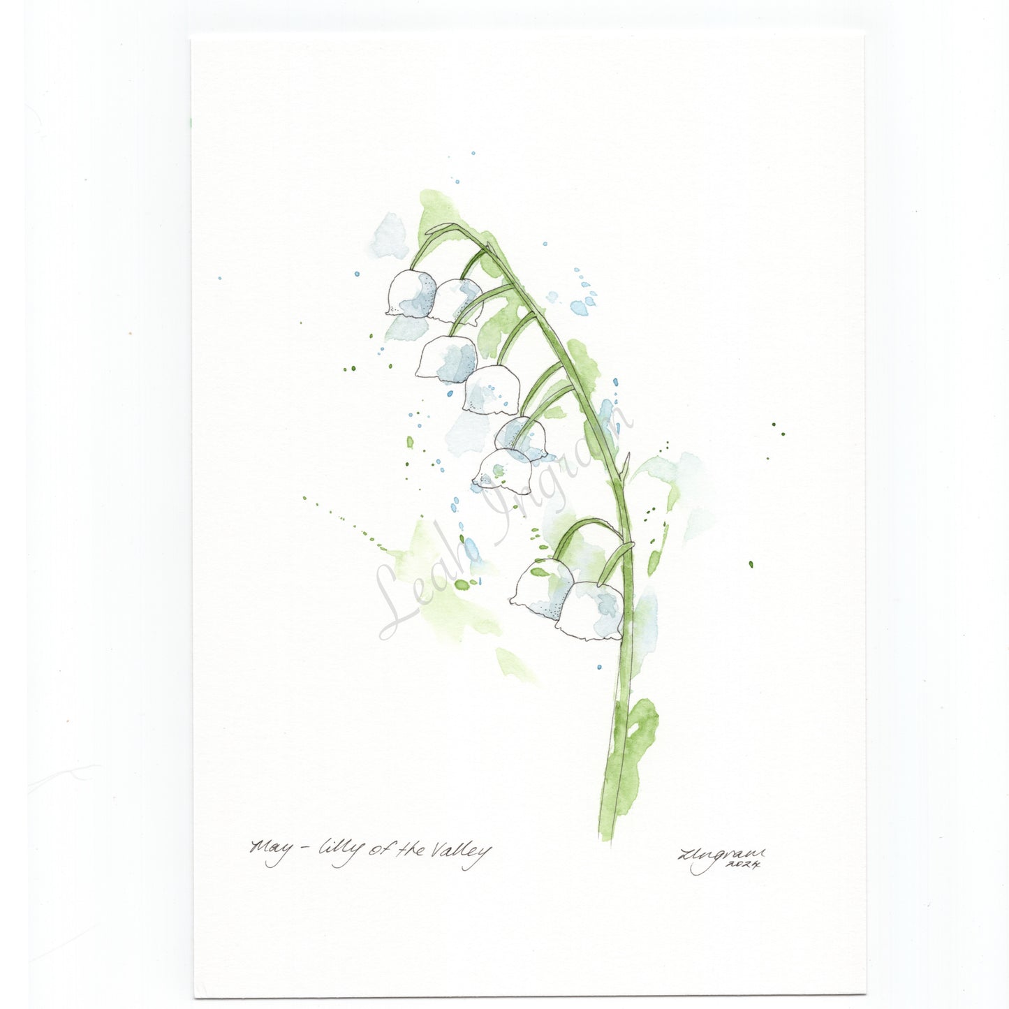 Lily of the Valley Original