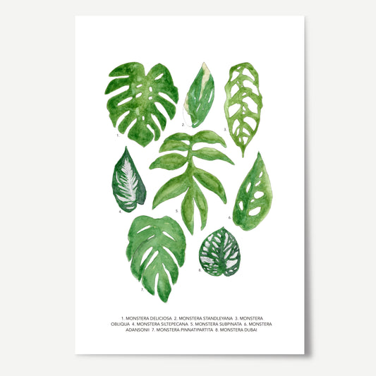 Monstera Leaves Print