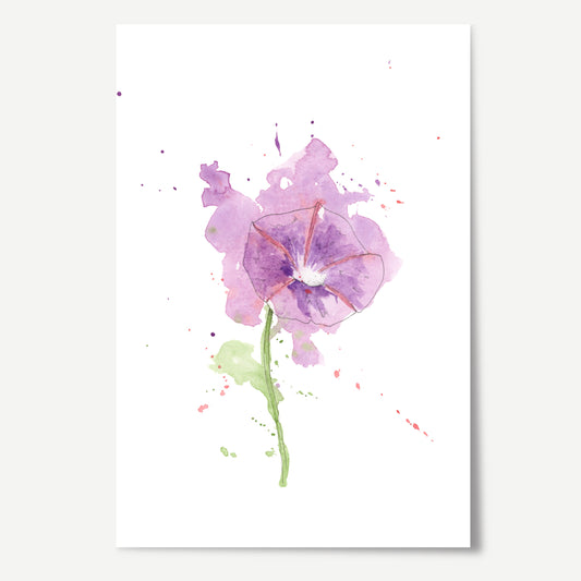 Morning Glory Print