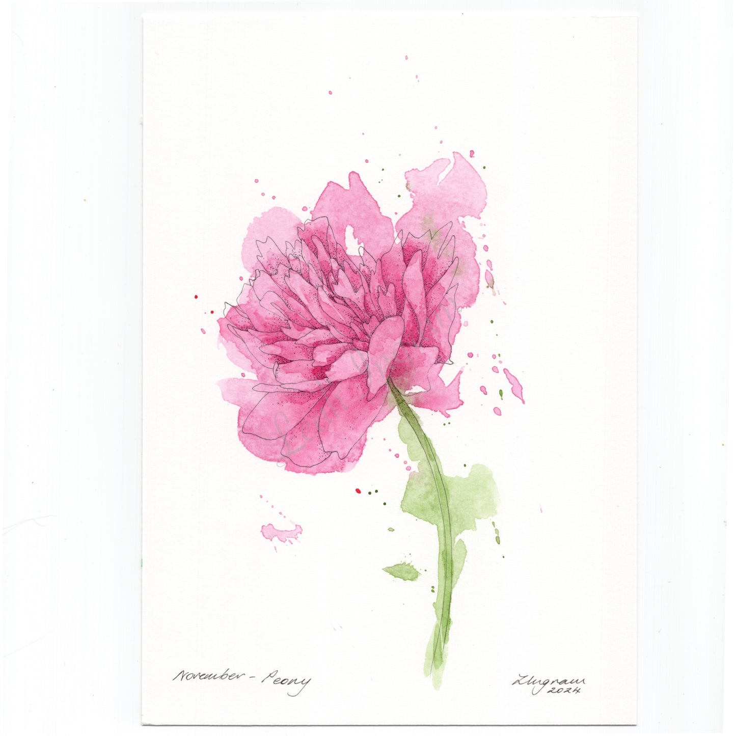 Peony Original