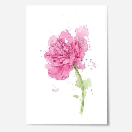 Peony Print