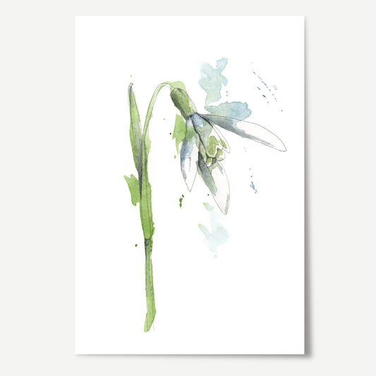 Snowdrop Print