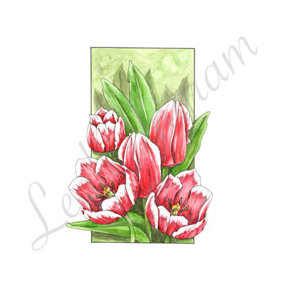 Tulips Original