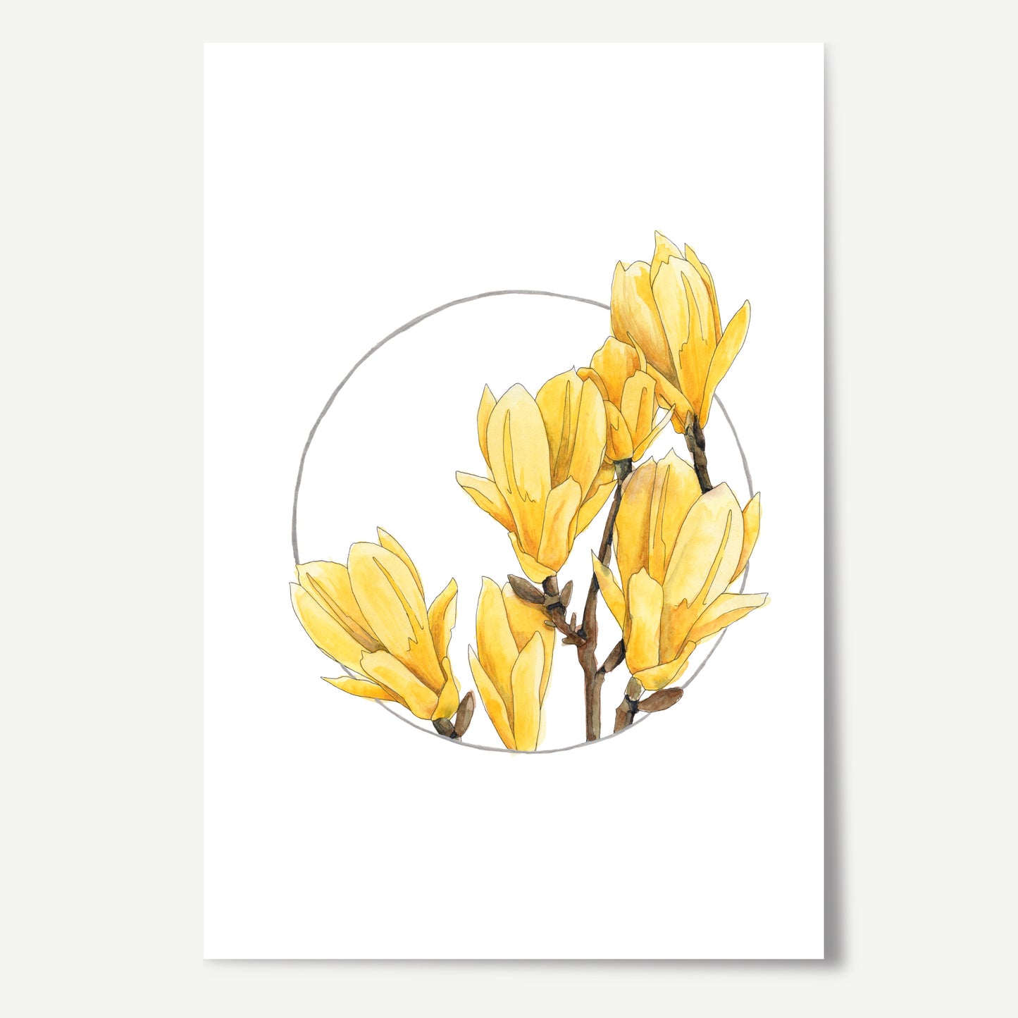 Yellow Bird Magnolia Wreath Print