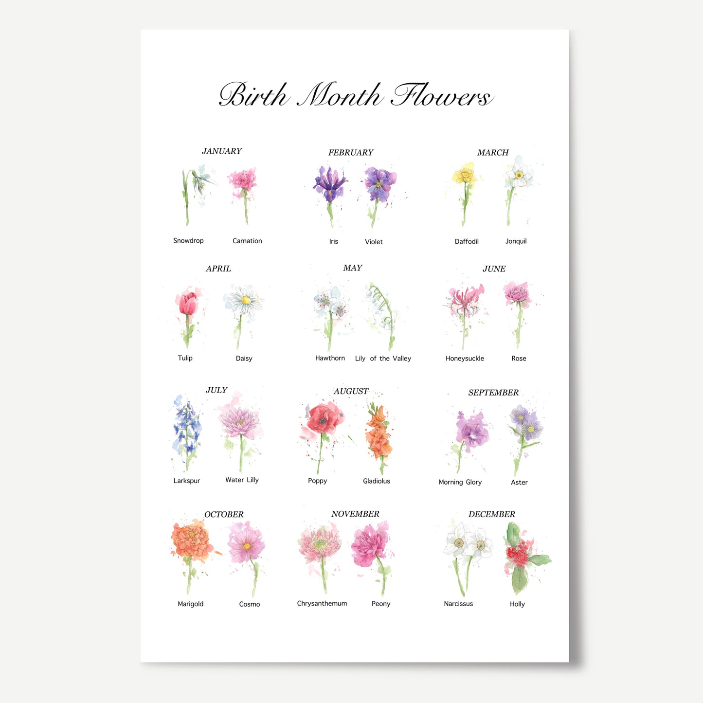 Your Guide to Birth Month Flowers Print